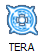 Иконка запуска игры TERA